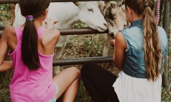 2 Jugendliche, die 2 Ziegen füttern