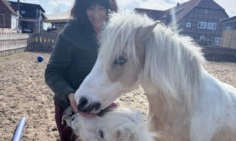 Ein Pferd und ein Pony mit einer Frau