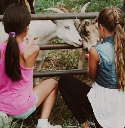 2 Jugendliche, die 2 Ziegen füttern